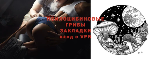 прущий лед Алексин
