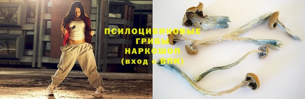 прущий лед Алексин