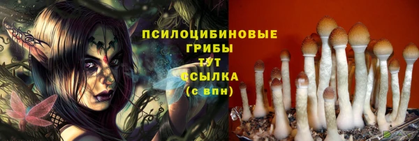 молекула духа Алексеевка