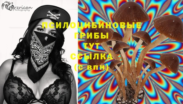 эйфоретик Алзамай