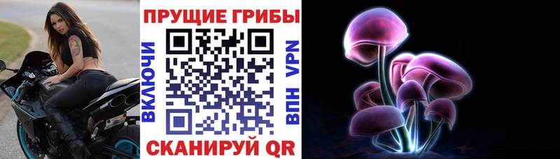 Псилоцибиновые грибы Psilocybine cubensis  Нытва 