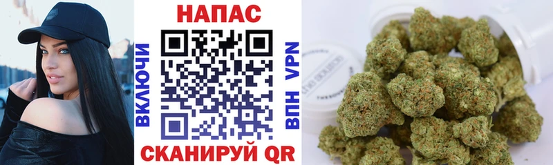 Конопля ГИДРОПОН  купить наркотик  Нытва 